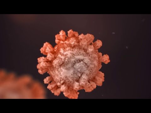 What a biological warfare attack could look like