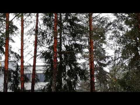 Onpas sää kohillaan 5/5