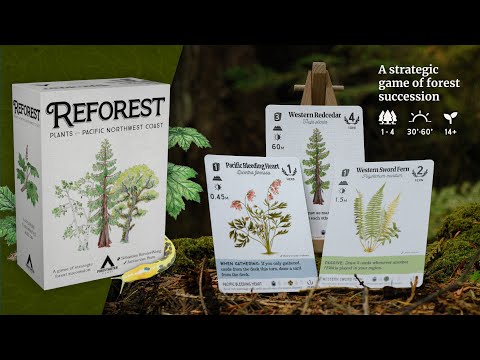 Reforest Overview