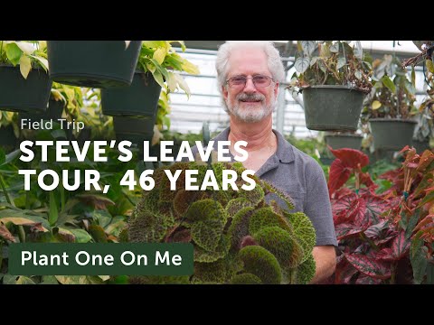 46 Years of HOUSEPLANTS: Evolving the Business with Steve's Leaves — Ep. 286