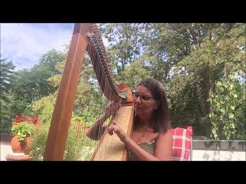 Von Blumen, Schmetterlingen und Sonnenstrahlen - Variante II von Sabina Boddem an der Harfe Beryll