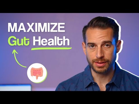Do THIS to INSTANTLY Improve Your Gut Health with Doctor Mike Hansen