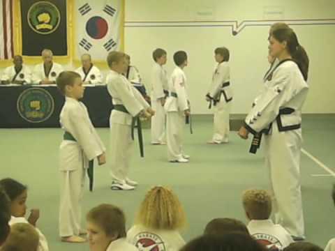 Ian's Karate Test