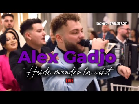 ‼️Alex Gadjo - Haide mândro la iubit‼️Live | Cover - Delia Barbu