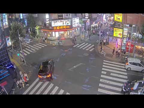 Tokyo Shinjuku - Kabukicho live cam