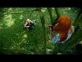 I Don't Know Birds That Well - MonaLisa Twins ...