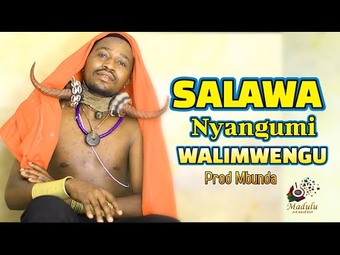Salawa nyangumi Walimwengu madulu studio 2025