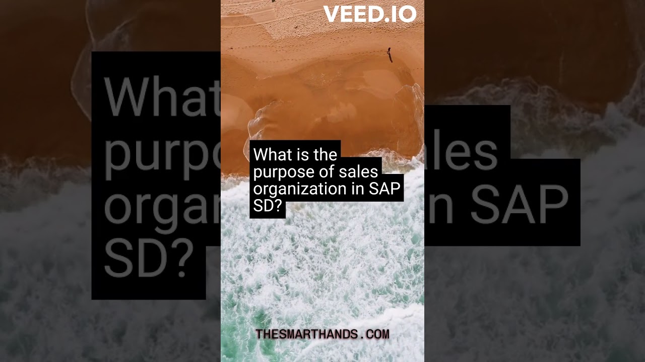 #2 What is the purpose of Sales Organization in SAP SD?