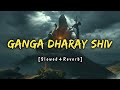 Ganga dharay shiv ganga dharay lofi song (slowed+reverb) ♥️🚩 | हर हर भोले नमः शिवा