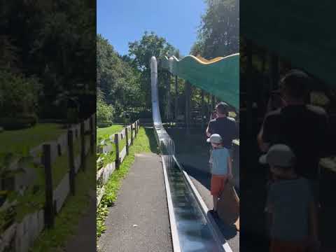 #allensbach #happy #parks #kids