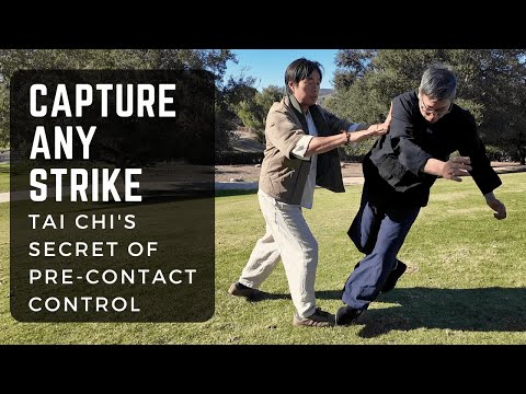 Capture Any Strike: Tai Chi's Secret Hidden Inside Push Hands Practice