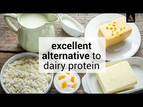 Soy protein isolate - 90 %