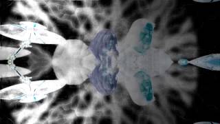 VHF - Backside of Your Eyes - (Vinciguerra, Hoekstra, Franklin)