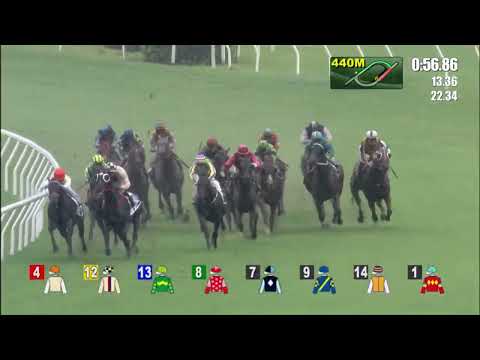 1/7/2022 (793) Peak To Peak - Vincent Ho