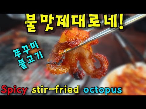 Polvo picante no Chungmuro ​​​​​​Jjukkumi Bulgogi!