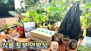 식물 토분 언박싱 라이브!!