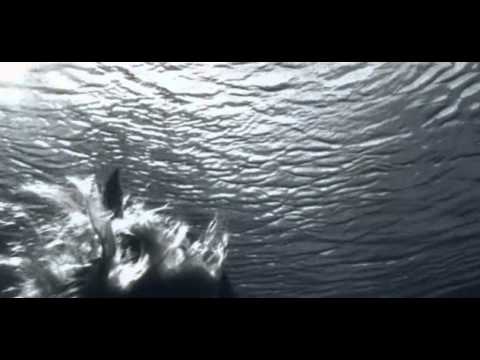 Uplifting vocal trancerush