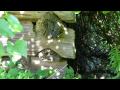Exploring The 1803 Gipple Log Cabin