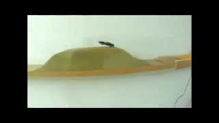 Red Desert Baja - Happy Camper