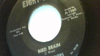 bird brain - james rivers - eightball 1966