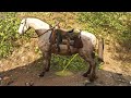 Far Cry 6 Horses Can Pee And Poop