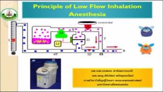 Workshop on Low Flow Inhalation Anesthesia #2