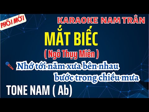 Karaoke Mắt Biếc (Ngô Thụy Miên) Tone Nam | Nam Trân