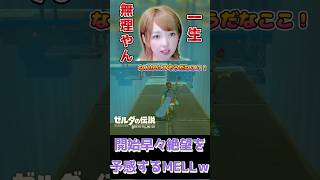 誰だこんなの考えたやつ！ #ブレワイ #ゼルダの伝説ブレスオブザワイルド #shorts