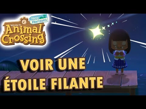 See a Shooting Star Make a Wish and Get a Star Fragment | Animal Crossing New Horizons