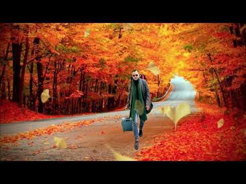 Ở trọ trần gian - Trần Tuấn Kiệt