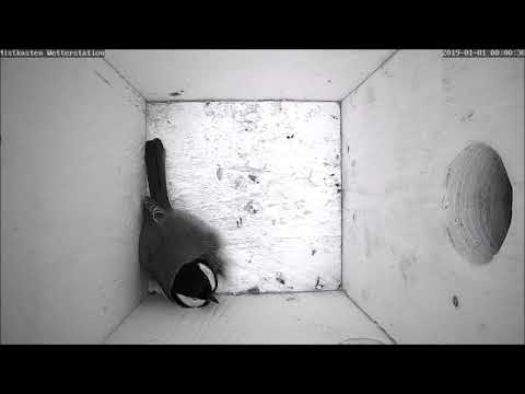 scripturienteternitarian7’s Video 174203073351 VWUhlDjleoE