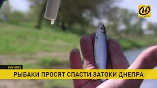 Ловля сеткой на днепре в могилеве