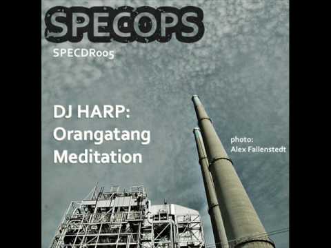 SPECDR005 - DJ HARP - Orangatang
