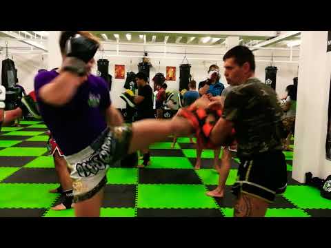 Baracuda Thaiboxen Kickboxen Muay Thai München Kicking pads