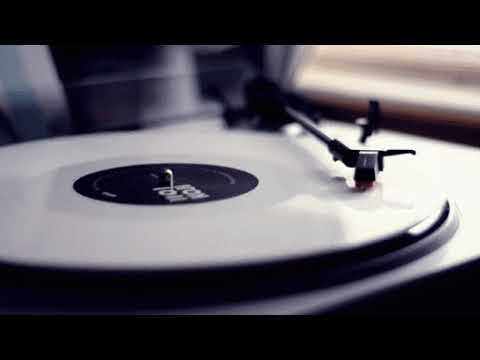 FIKUS · TITI · WANFREE - EL CÍRCULO