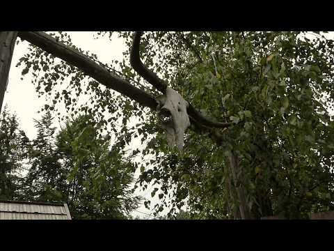 Die Kelten Geheimnisse unserer Vorfahren: Video 3 Die keltischen Männer