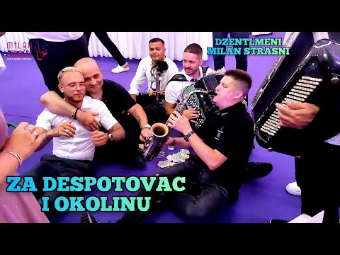 ZA DESPOTOVAC I OKOLINU SVIRKA ZA DUSU / ORK. DZENTLMENI / IVAN / MILAN STRASNI