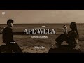Ape Wela Slowed Reverb Slowedandreverb Sinhala