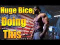 Bigger Biceps Fast! How To Structure and Train Biceps