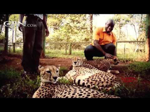 CBN Global Update: February 6, 2017