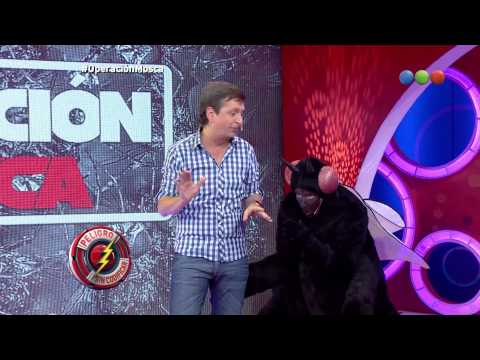 Operación Mosca, presentación - Peligro Sin Codificar