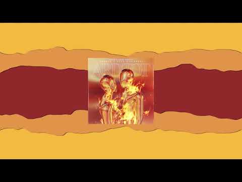 Amedeo, Oana Marinescu - Ard Tot (RZVN x XAND Remix)