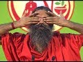 Bhramari Udgeeth Pranayama Swami Ramdev