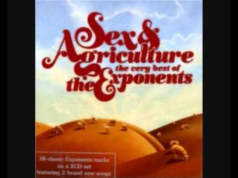 The Exponents - Your Best Friend Loves me Too