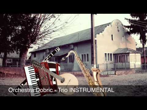 Orchestra Dobric - Trio INSTRUMENTAL