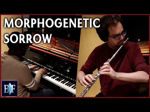 Morphogenetic Sorrow 2022 - Piano & Flute Duet (Zero Escape: Nonary Games)