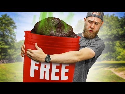 Zoo Gives Free Poo As Souvenirs!? | Weird News Video