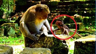 Supper frighten!Why marcus not accept baby timo,Baby want to hug him so much,afraid baby even Acheb