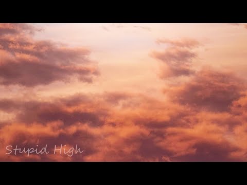 LIZANN - Stupid High (Original)