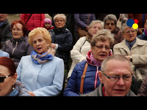 Obrazek filmy Youtube